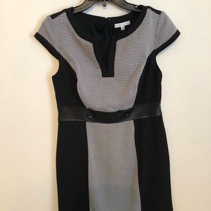 Sandra Darren cute dress for work or play!